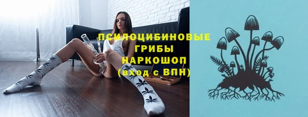 спиды Михайлов