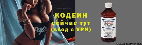 амф Михайловск