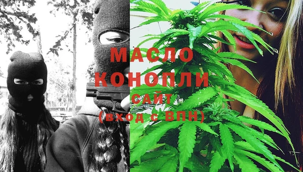 спиды Михайлов