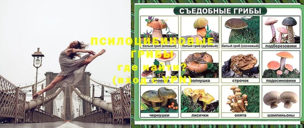 спиды Михайлов