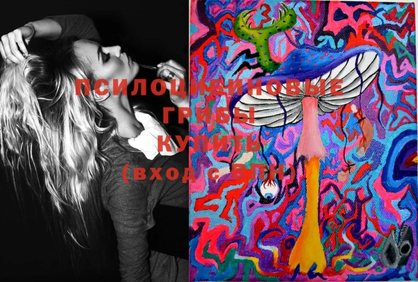 спиды Михайлов