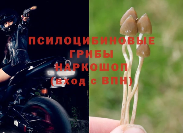 альфа пвп Михайловка